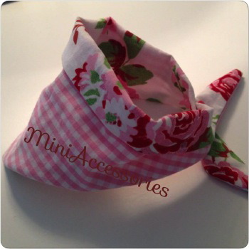 10271539_531353736969979_4735859170106485641_n