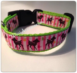 10351971_554106008028085_4371136179269985736_n