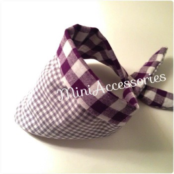 10403495_539242842847735_7359202084790951081_n