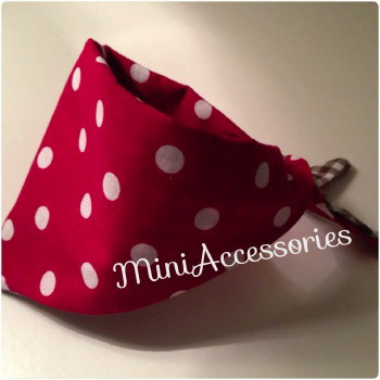 10406559_539242806181072_1177637570257049738_n