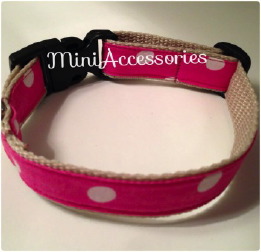 10474645_539246229514063_3139624513906186631_n