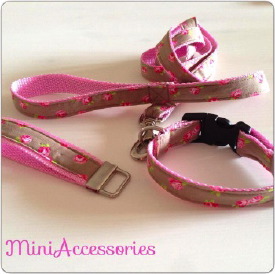 10526094_557805070991512_1770256517937840975_n