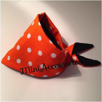 10593121_570731799698839_6257000317231784124_n