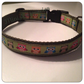 10609544_560903654014987_6521132378024552909_n