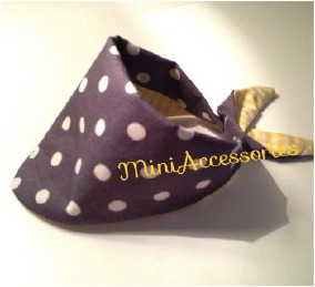 10632713_570731773032175_3156477113367006007_n