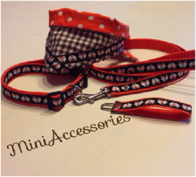 10649445_578072815631404_3714652009783238129_n