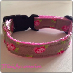 1458700_557805264324826_4597391781979069673_n