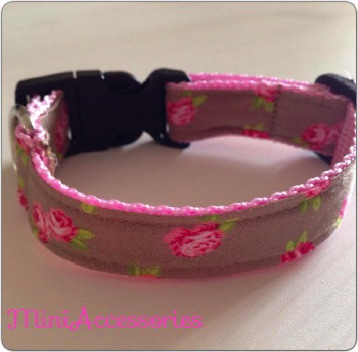 1458700_557805264324826_4597391781979069673_n