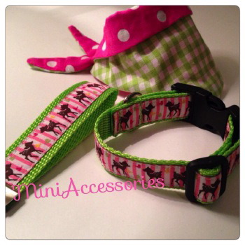 16618_553462888092397_9194432900547655335_n